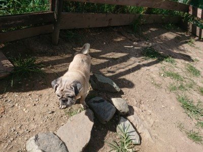 f:id:roukenhome-ann:20190814121026j:plain f:id:roukenhome-ann:20190814121026j:plain