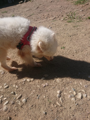 f:id:roukenhome-ann:20190814121202j:plain f:id:roukenhome-ann:20190814121202j:plain