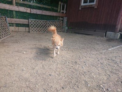 f:id:roukenhome-ann:20190814121231j:plain f:id:roukenhome-ann:20190814121231j:plain