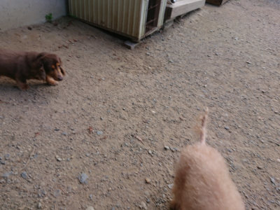 f:id:roukenhome-ann:20190814121239j:plain f:id:roukenhome-ann:20190814121239j:plain