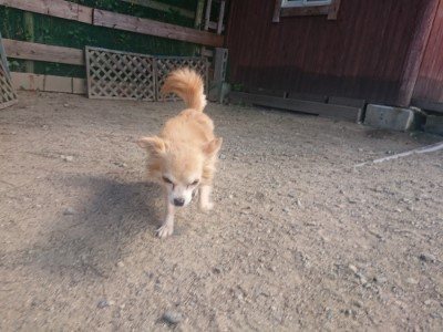 f:id:roukenhome-ann:20190814121249j:plain f:id:roukenhome-ann:20190814121249j:plain