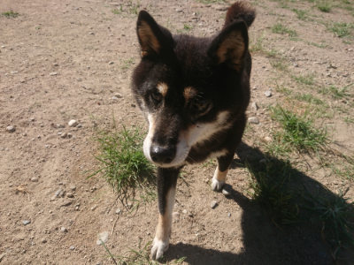 f:id:roukenhome-ann:20190814121407j:plain f:id:roukenhome-ann:20190814121407j:plain