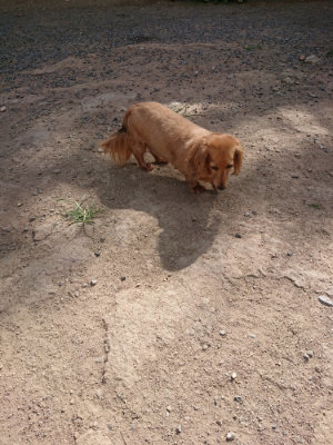 f:id:roukenhome-ann:20190814121517j:plain f:id:roukenhome-ann:20190814121517j:plain