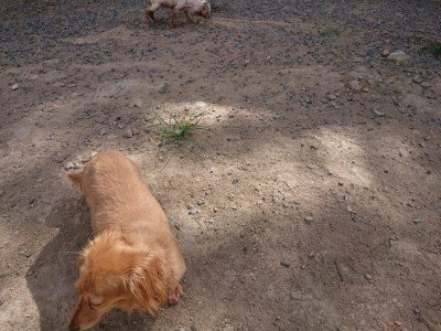 f:id:roukenhome-ann:20190814121539j:plain f:id:roukenhome-ann:20190814121539j:plain