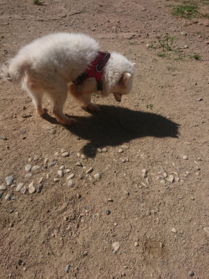 f:id:roukenhome-ann:20190814121544j:plain f:id:roukenhome-ann:20190814121544j:plain