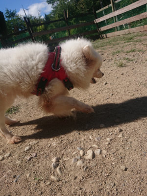 f:id:roukenhome-ann:20190814121557j:plain f:id:roukenhome-ann:20190814121557j:plain