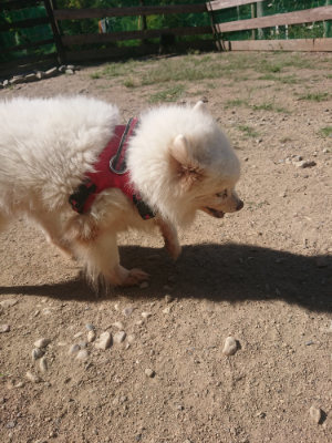 f:id:roukenhome-ann:20190814121607j:plain f:id:roukenhome-ann:20190814121607j:plain