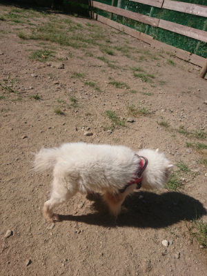 f:id:roukenhome-ann:20190814121612j:plain f:id:roukenhome-ann:20190814121612j:plain