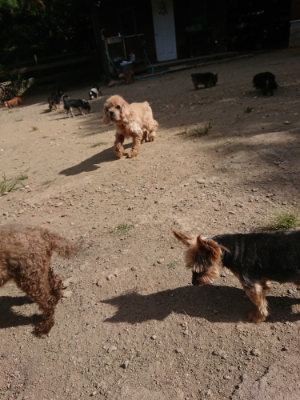 f:id:roukenhome-ann:20190814121616j:plain f:id:roukenhome-ann:20190814121616j:plain
