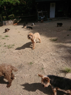 f:id:roukenhome-ann:20190814121635j:plain f:id:roukenhome-ann:20190814121635j:plain