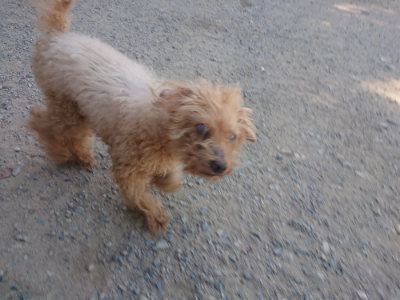 f:id:roukenhome-ann:20190814121648j:plain f:id:roukenhome-ann:20190814121648j:plain