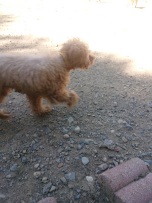 f:id:roukenhome-ann:20190814121719j:plain f:id:roukenhome-ann:20190814121719j:plain