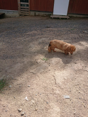 f:id:roukenhome-ann:20190814121734j:plain f:id:roukenhome-ann:20190814121734j:plain