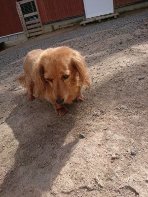 f:id:roukenhome-ann:20190814121742j:plain f:id:roukenhome-ann:20190814121742j:plain
