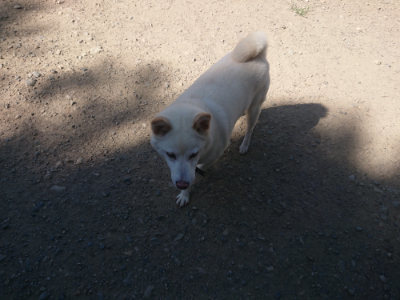 f:id:roukenhome-ann:20190814121836j:plain f:id:roukenhome-ann:20190814121836j:plain