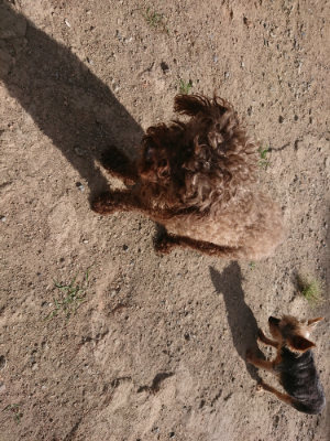 f:id:roukenhome-ann:20190814121850j:plain f:id:roukenhome-ann:20190814121850j:plain