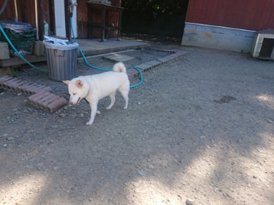 f:id:roukenhome-ann:20190814121856j:plain f:id:roukenhome-ann:20190814121856j:plain