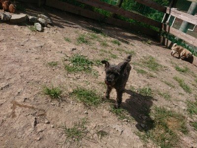 f:id:roukenhome-ann:20190814121903j:plain f:id:roukenhome-ann:20190814121903j:plain