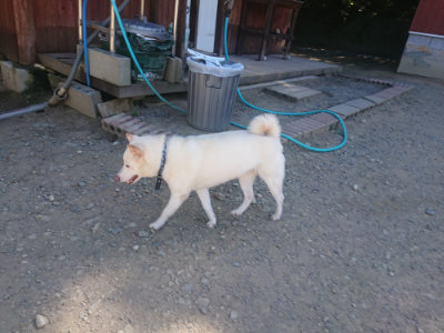 f:id:roukenhome-ann:20190814121914j:plain f:id:roukenhome-ann:20190814121914j:plain