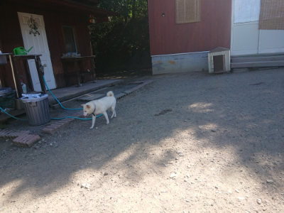 f:id:roukenhome-ann:20190814121928j:plain f:id:roukenhome-ann:20190814121928j:plain