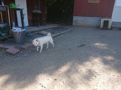 f:id:roukenhome-ann:20190814121934j:plain f:id:roukenhome-ann:20190814121934j:plain