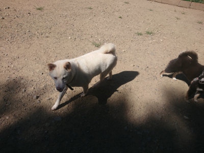 f:id:roukenhome-ann:20190814122000j:plain f:id:roukenhome-ann:20190814122000j:plain