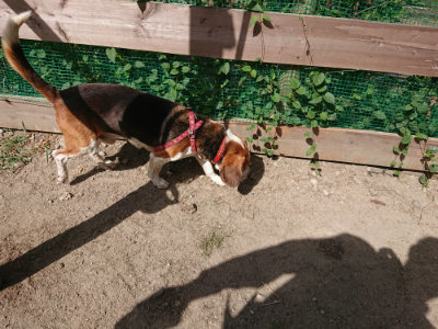 f:id:roukenhome-ann:20190814123445j:plain f:id:roukenhome-ann:20190814123445j:plain