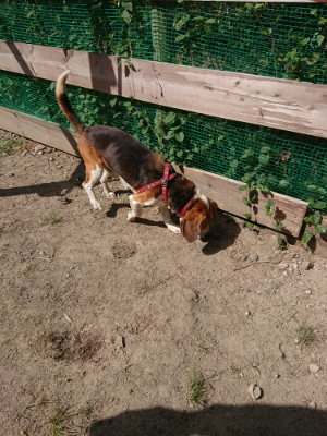 f:id:roukenhome-ann:20190814123451j:plain f:id:roukenhome-ann:20190814123451j:plain