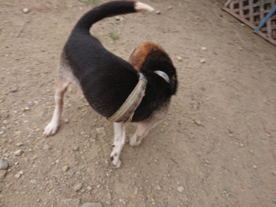 f:id:roukenhome-ann:20190814152625j:plain