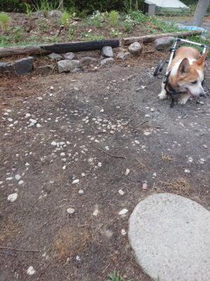 f:id:roukenhome-ann:20190814152811j:plain