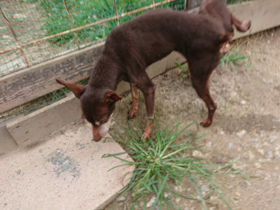 f:id:roukenhome-ann:20190814152905j:plain