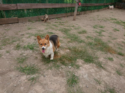 f:id:roukenhome-ann:20190814152941j:plain