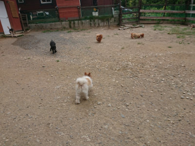 f:id:roukenhome-ann:20190814172618j:plain