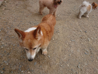 f:id:roukenhome-ann:20190814172626j:plain