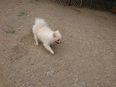 f:id:roukenhome-ann:20190814172907j:plain