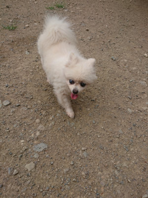 f:id:roukenhome-ann:20190814172914j:plain