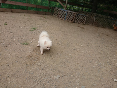 f:id:roukenhome-ann:20190814172944j:plain