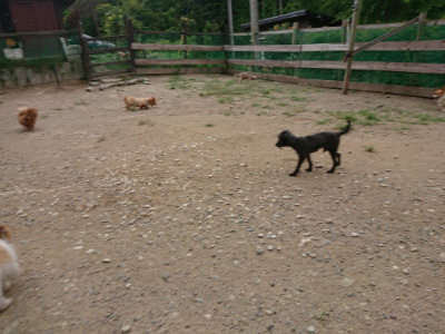 f:id:roukenhome-ann:20190814173048j:plain