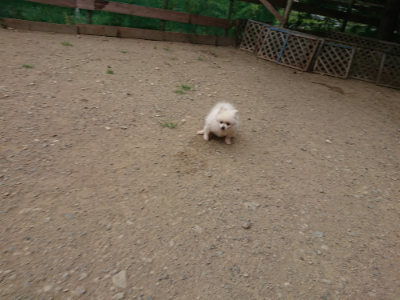 f:id:roukenhome-ann:20190814173054j:plain