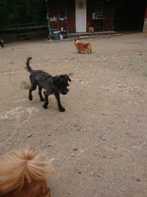 f:id:roukenhome-ann:20190814174542j:plain