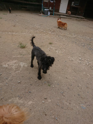 f:id:roukenhome-ann:20190814174550j:plain