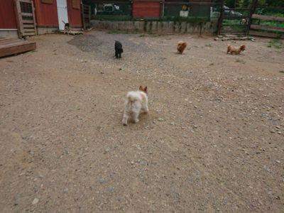 f:id:roukenhome-ann:20190814174617j:plain