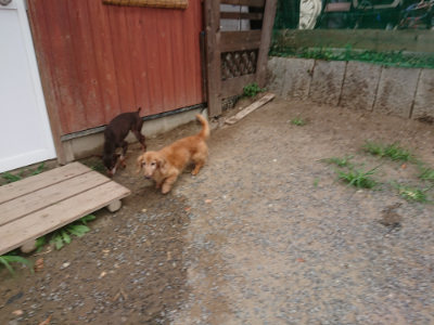 f:id:roukenhome-ann:20190814174813j:plain