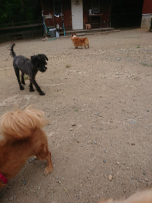 f:id:roukenhome-ann:20190814174819j:plain