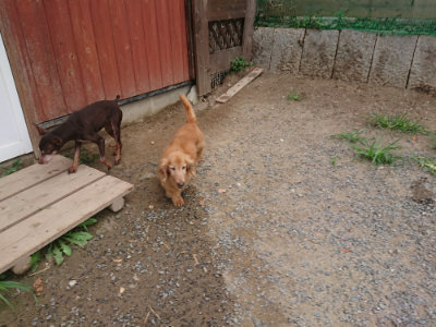 f:id:roukenhome-ann:20190814174834j:plain