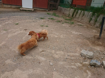 f:id:roukenhome-ann:20190814175008j:plain