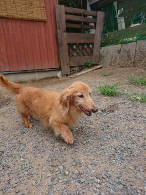 f:id:roukenhome-ann:20190814175246j:plain
