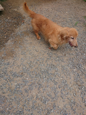 f:id:roukenhome-ann:20190814175304j:plain