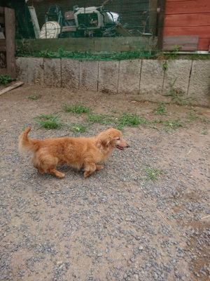 f:id:roukenhome-ann:20190814175321j:plain