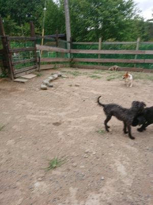 f:id:roukenhome-ann:20190814175328j:plain